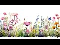 Spring flower water color  frame tv art screen saver  no music  ambiance  tv art decor background