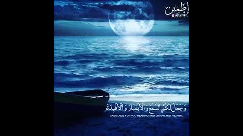 ذلك عالم الغيب والشهادة العزيز الرحيم تلاوة : طارق محمد