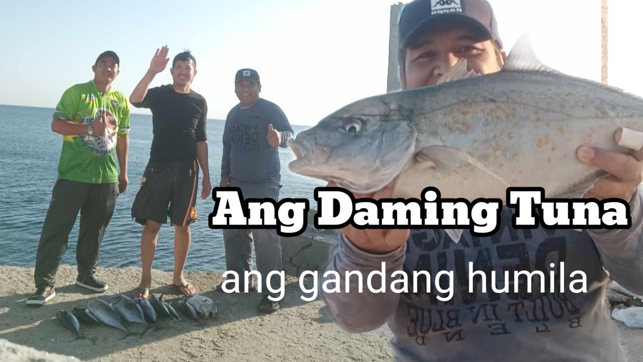 Fishing for Tuna | Shore fishing in Jeddah