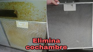 ELIMINA COCHAMBRE DE LA COCINA