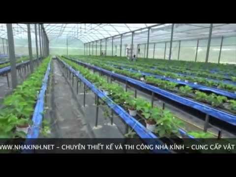 Video Nhà kính trồng rau sạch - youtube