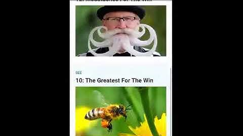 WP-Appkit - Implementing Search