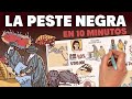 La Peste Negra en 10 minutos