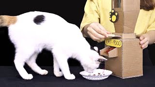 DIY Kitten Cat Food Dispenser from Cardboard at Home