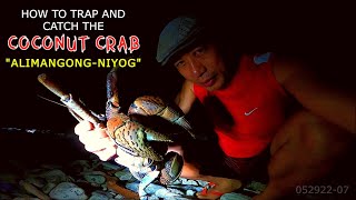 HOW TO TRAP AND CATCH THE COCONUT CRAB or ALIMANGONG-NIYOG || FULL VIDEO - S1/ep1