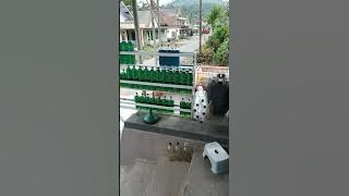 Memulai usaha jualan bensin di pinggir jalan buayat modal hidup
