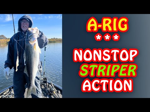 TOP 5 STRIPER LURES for Fresh Water Dam Fishing