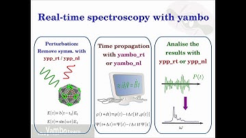 Real-time Many-Body simulation: propagating the density matrix