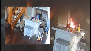 Dog starts house fire in Michigan