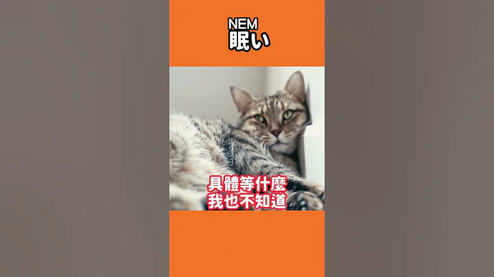 爱困的日文是？#sleep #cat #睡#shortvideo - 天天要闻
