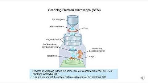 12021: BSK4153 Advance Instrumentation Method (SEM & TEM)
