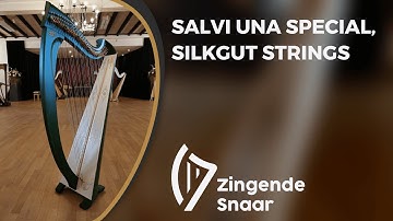 Salvi Una special, silkgut strings
