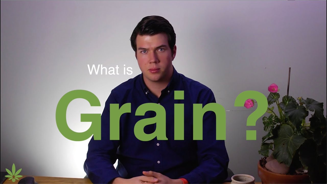 What is Grain? | Hemp Vernacular