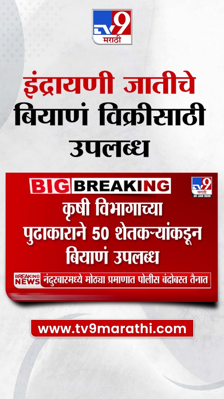Pune | राजगडमध्ये 2 टन इंद्रायणी भाताचं बियाणं विक्रीसाठी उपलब्ध
