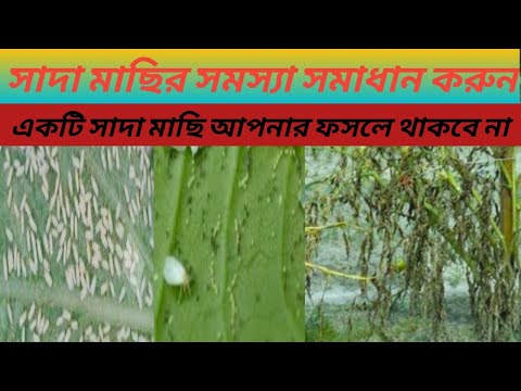 ভিডিও: অচেক করা ব্যতিক্রমগুলি কি পরিচালনা করা উচিত?