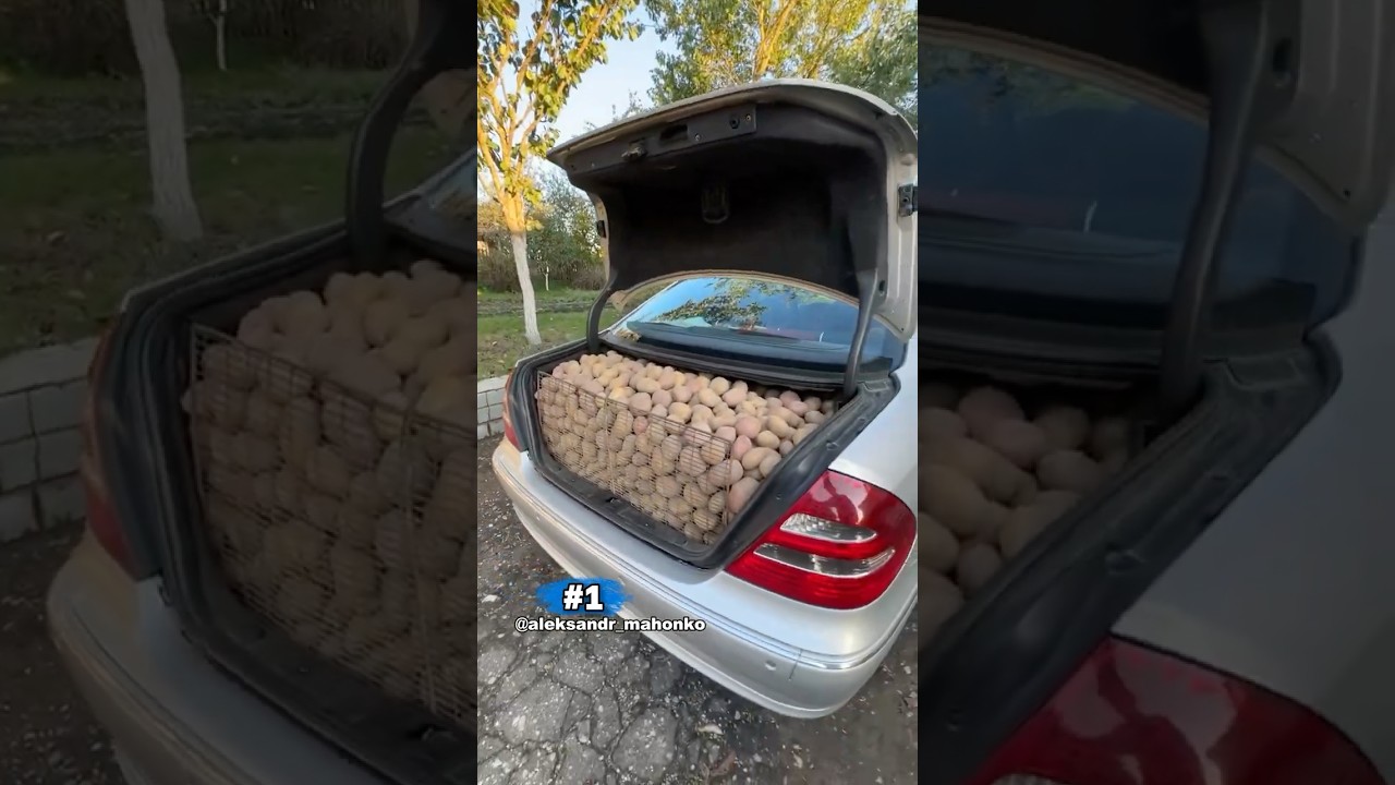 Driving In The BALKANS Be Like