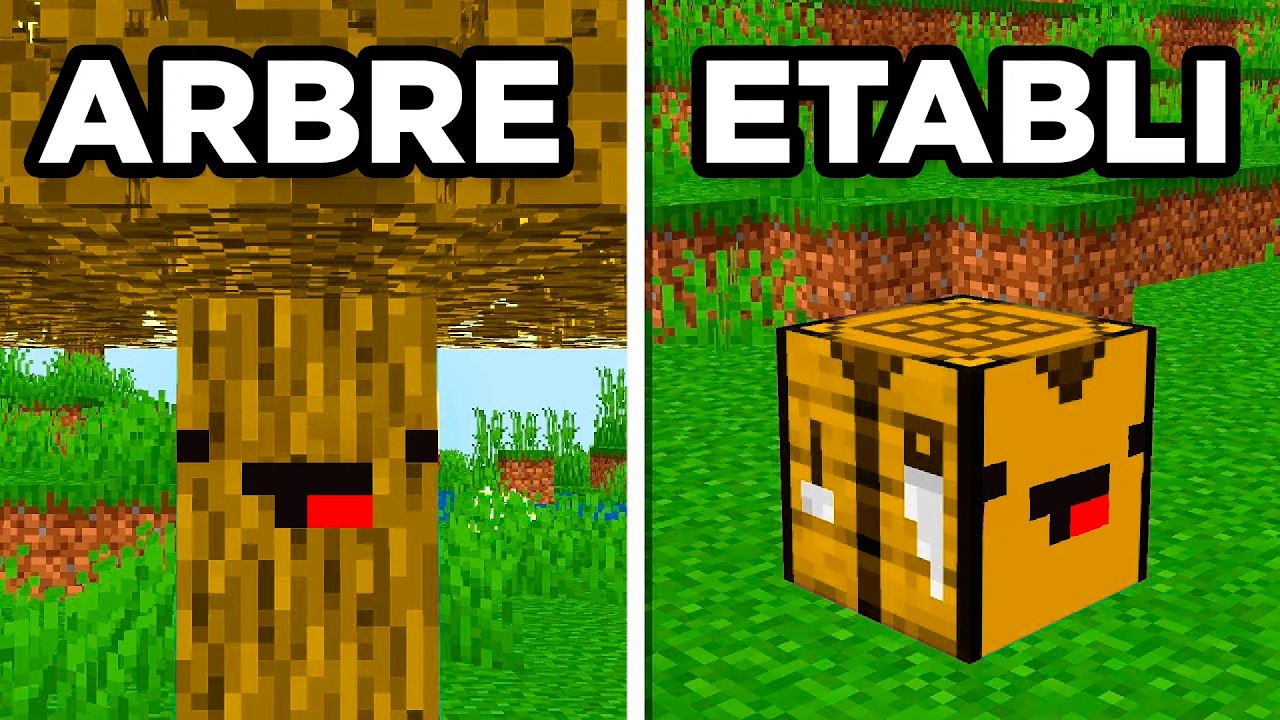 31 MANIÈRES DE PRANK VOS AMIS SUR MINECRAFT !