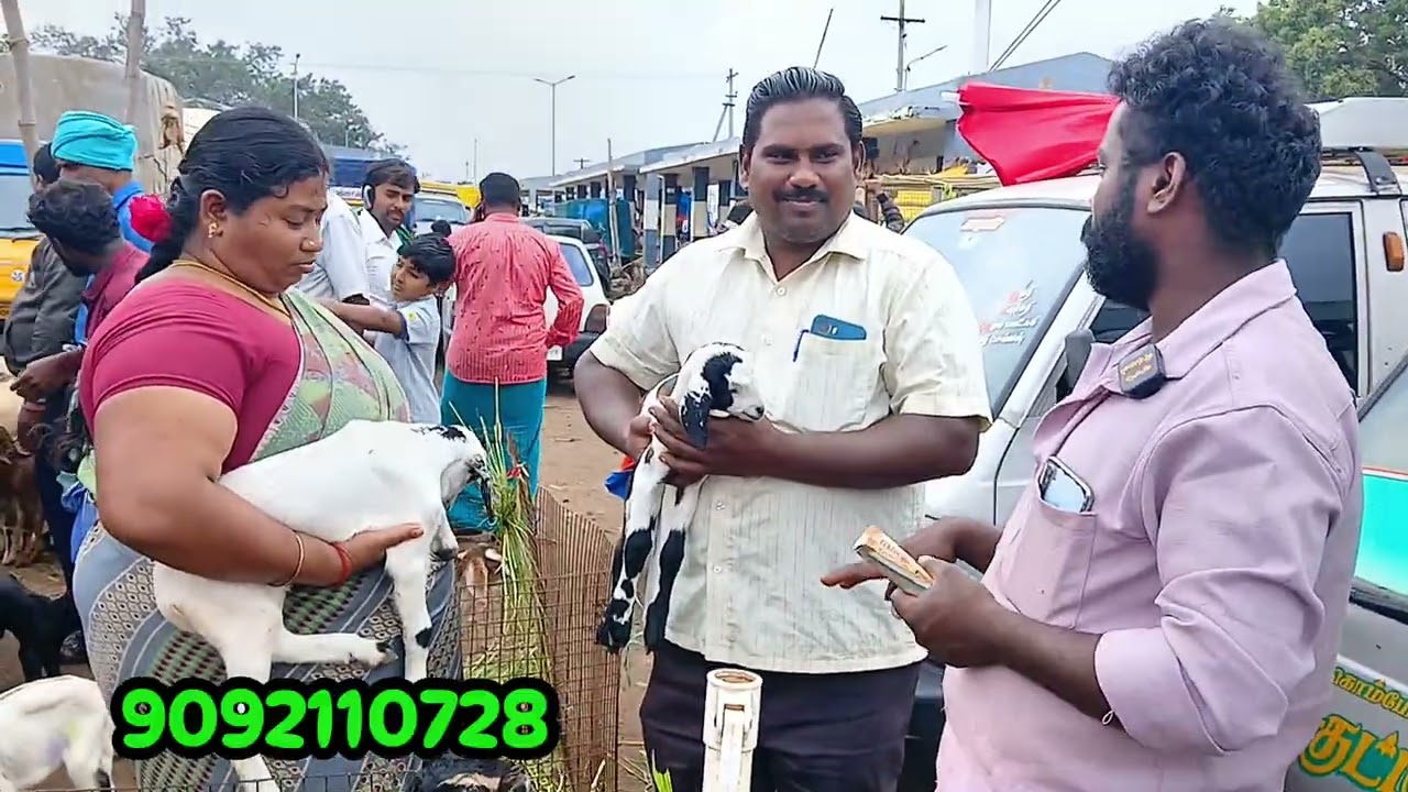 சின்னதாராபுரத்தில் இருந்து நம்ம கிட்ட முதல் முறையா குட்டி வாங்குனவங்க #5500u 