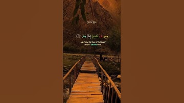سورة الفلق 🌙 تلاوة قصيرة للحفظ والطمأنينة #اكسبلور #حالات_واتس #القرآن_الكريم #دويتو #لايك #fps