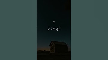 تلاوة خاشعة ومؤثرة بصوت ماهر المعيقلي ارح سمعك ♡♡♡