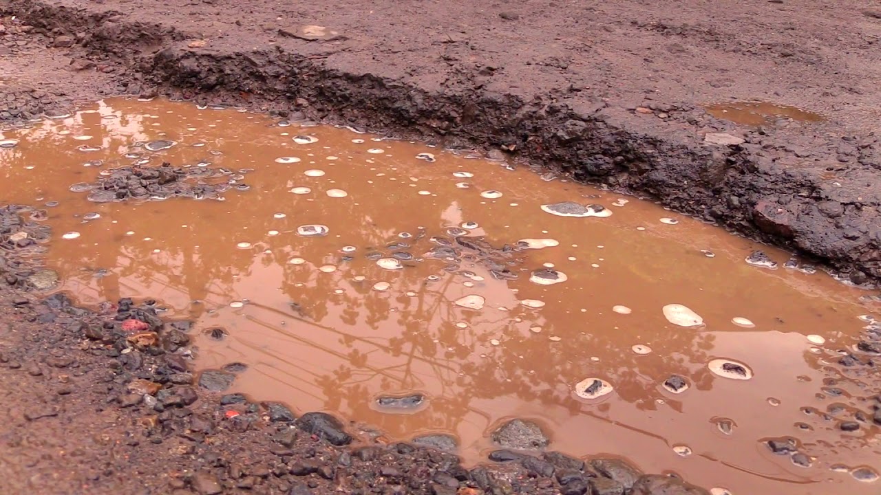 ESTADO DE RUTA 620 | SANTA ELENA - MONTEVERDE radio online