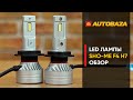 LED лампы SHO-ME F4 H7 40W. Как светодиодные лампы светят в фаре? LED лампы для авто.