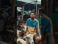 Goat Vs Goat Generativeart Viralvideo Viral Beautiful Aiart Viralshorts Viralreels