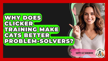 Why Does Clicker Training Make Cats Better Problem-solvers? - Happy Cat Handbook