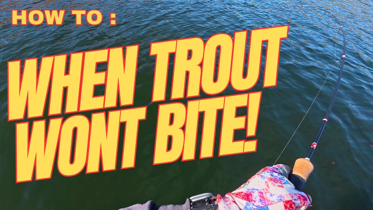 How To Catch Trout When They Don't Want To Bite - Silverwood Lake