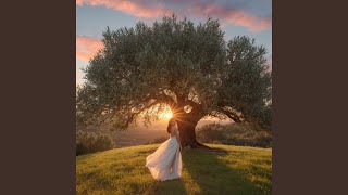 Pure Harmony Warms Life