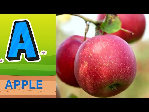 ABC Phonics Song Alphabet Letter Sounds ABC Learning For Toddlers Education ABC Nursery Rhymes 