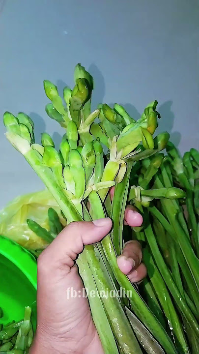 enak tapi tak banyak yg suka #genjer #sayuran #sayurgenjer #viral #shorts #video