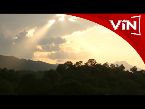 Ebdul Wahid Zaxoyi Korko Dino 