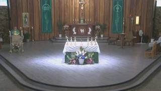 Santa Misa Diaria (en español)