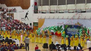 Famous NFPS 30th Founding Anniversary - Grade 6 (Girls) Presentation Net Worth