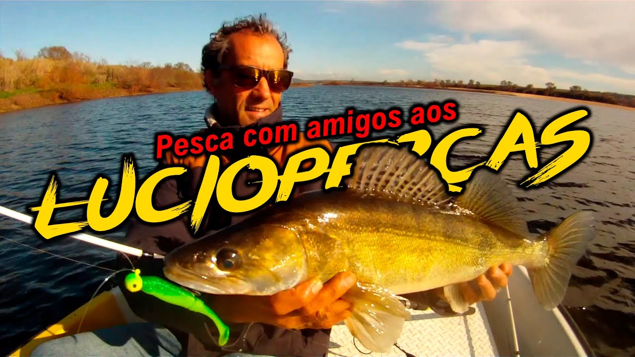 Spinning aos Lúcio Perca no Rio Tejo