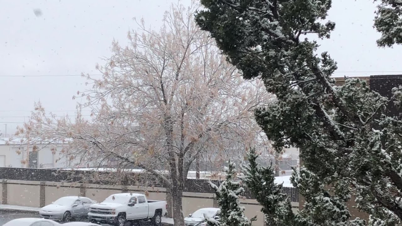 Snow falling in northeast heights in Albuquerque, New Mexico on Feb. 17, 2021