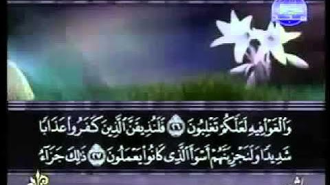 القران الكريم سورة فصلت كاملة بصوت جميل The Holy Quran