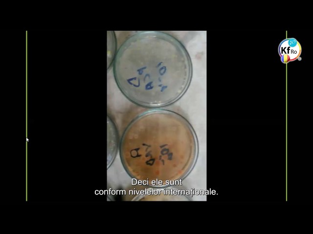 Curatarea Apei de Bacteria Ecoli