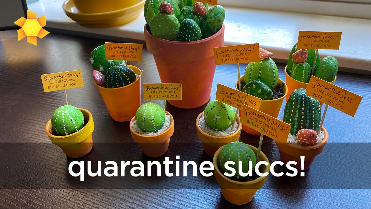 Quarantine Succs! (a crafty cactus gift to make!) - Sandy Allnock