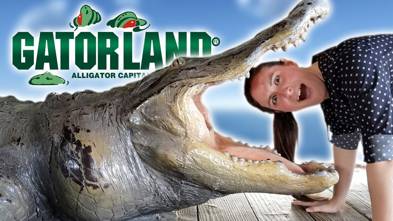 JULIA EATS GATOR AT GATORLAND | HellthyJunkFood