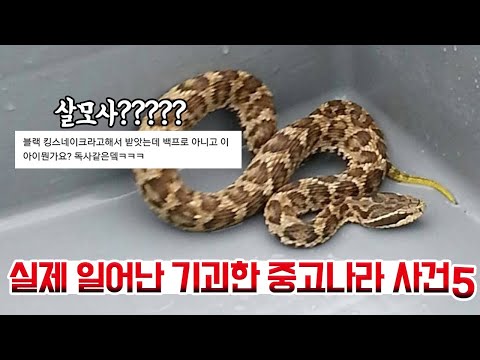 실제 일어난 중고나라 사건 다섯가지