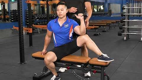 Seated Dumbbell External Rotation