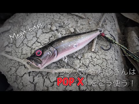 POP X】発売から現在まで釣れ続いてる伝説のルアー紹介‼︎ - YouTube