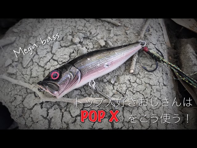 POP X】発売から現在まで釣れ続いてる伝説のルアー紹介‼︎ - YouTube