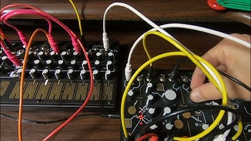 Make Noise Strega,0-CTRL Session 230118