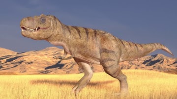 T-Rex Walk Cycle made in Blender 2.8 Beta