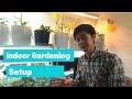 My Indoor Gardening Setup and Cost