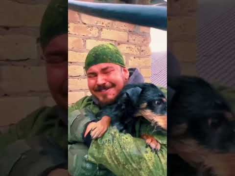 Спасение собаки во время паводкового наводнения в пригороде Оренбурга. Реакция пушистого бесценна. ❤