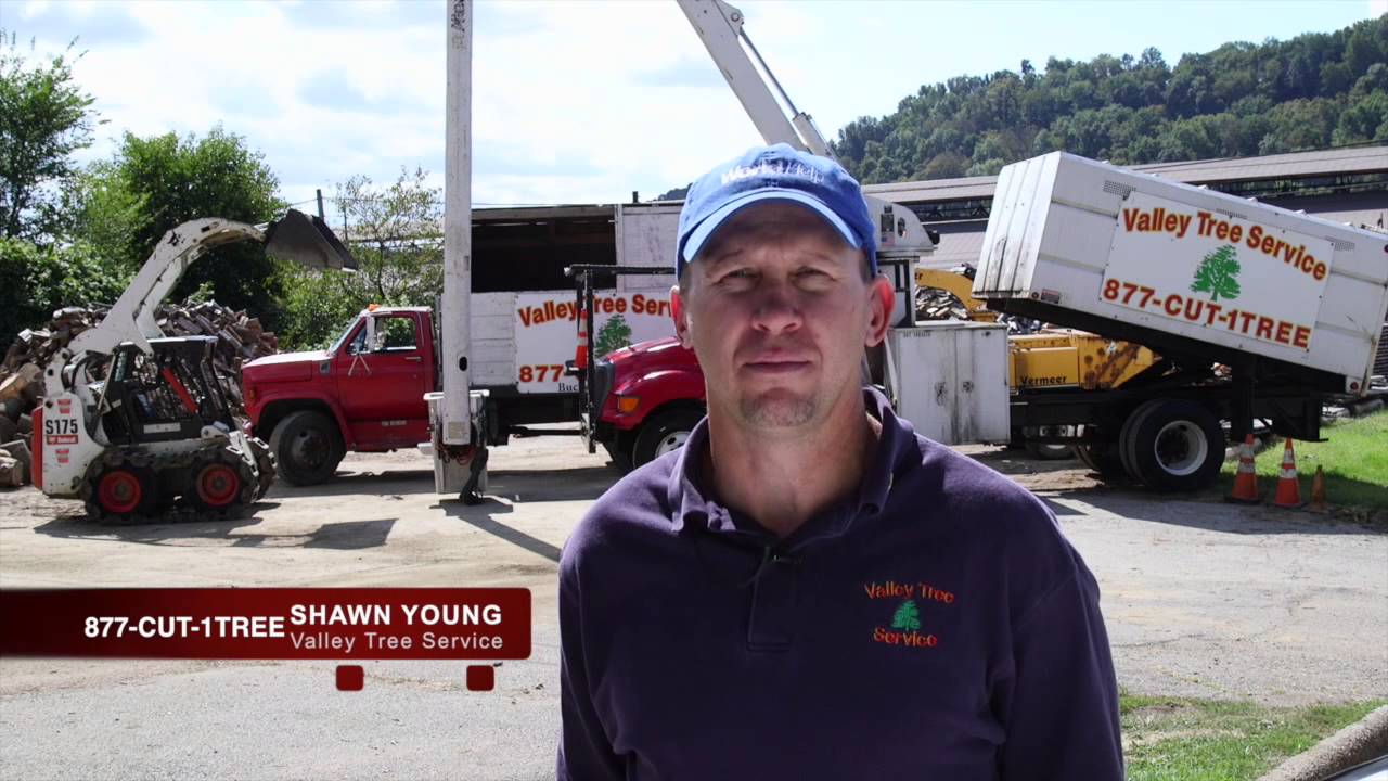 Shop Local Valley Tree Services & McCauslen Any Occasion YouTube